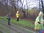 picture_021.jpg