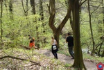picture_040.jpg